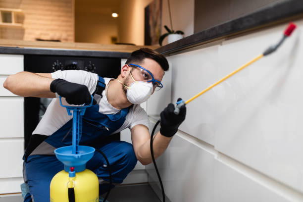 Best Pest Inspection Near Me  in Stony Prairie, OH