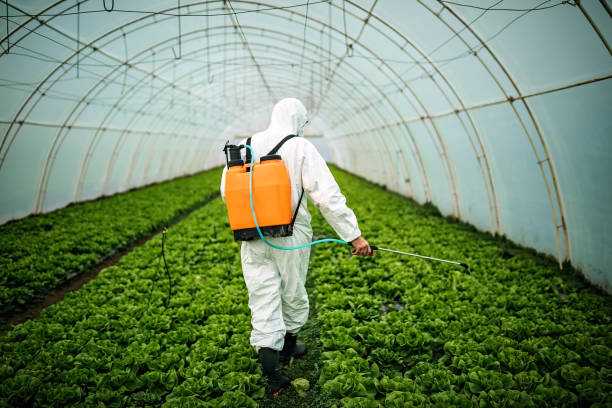 Best Local Pest Control Services  in Stony Prairie, OH