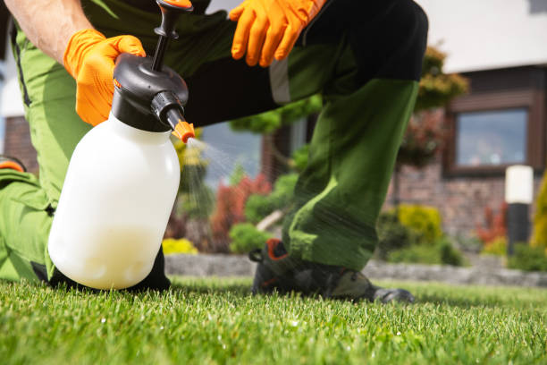Best Cockroach Control Services  in Stony Prairie, OH