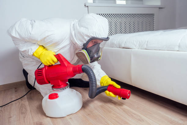 Best Wasp Removal Services  in Stony Prairie, OH