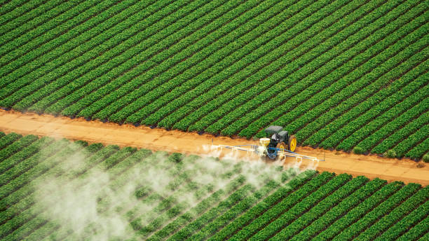 Reliable Stony Prairie, OH Pest Control Solutions