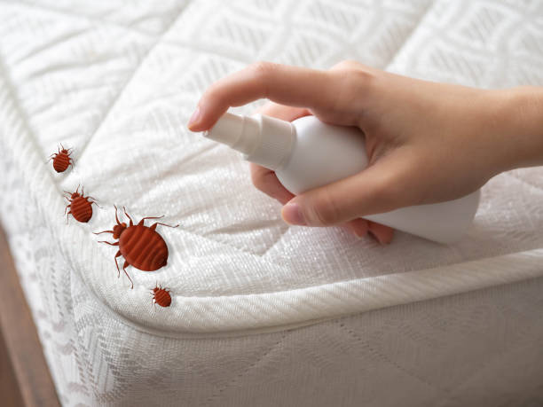Best Termite Control Services  in Stony Prairie, OH