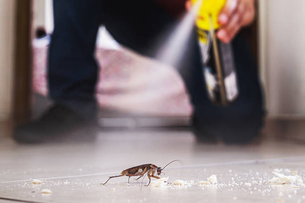 Best Affordable Pest Control Services  in Stony Prairie, OH