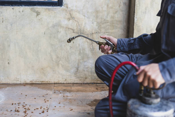 Best Termite Control Services  in Stony Prairie, OH